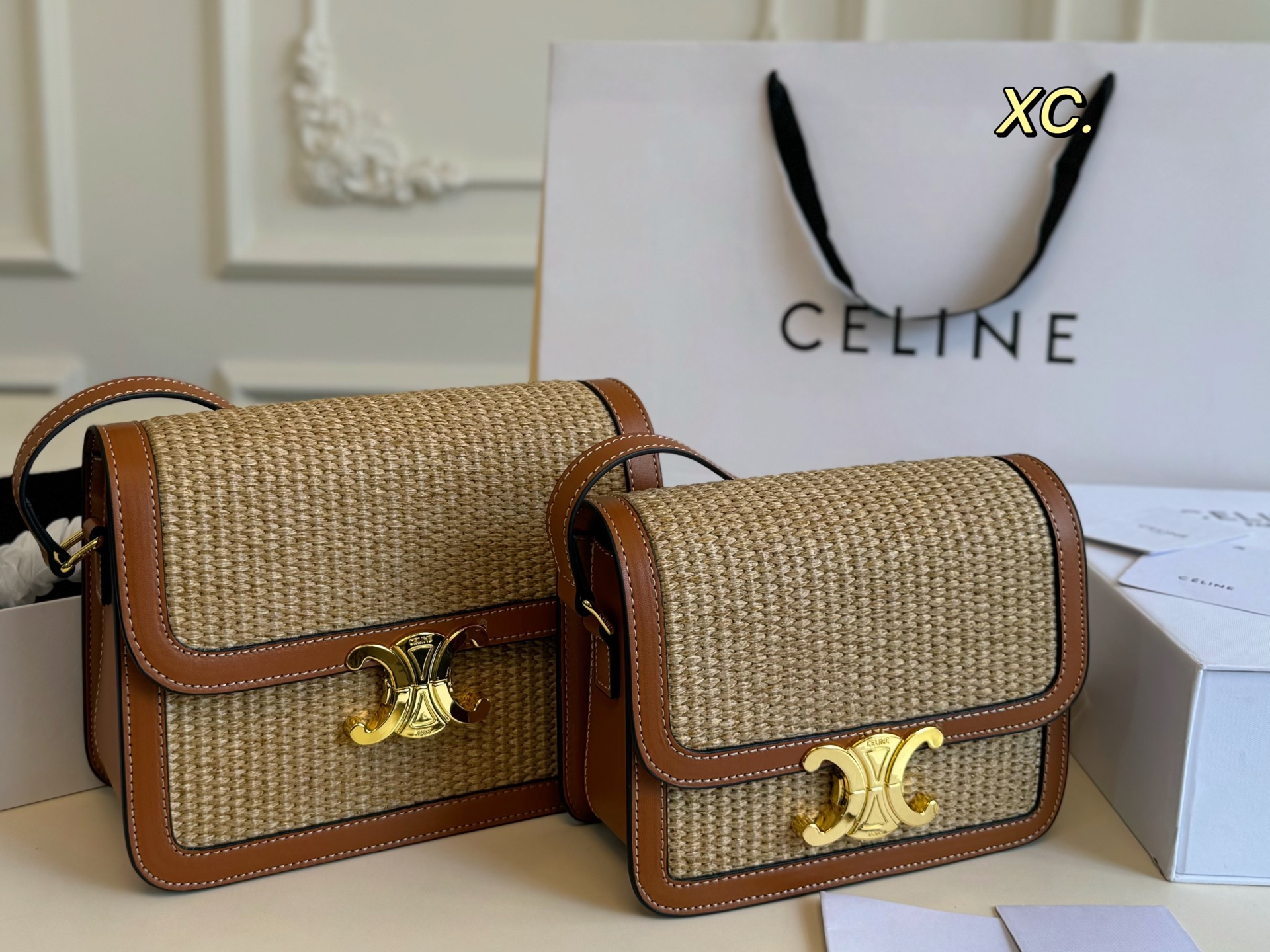 CELINE bag 31
